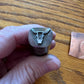 Cow skull stamp