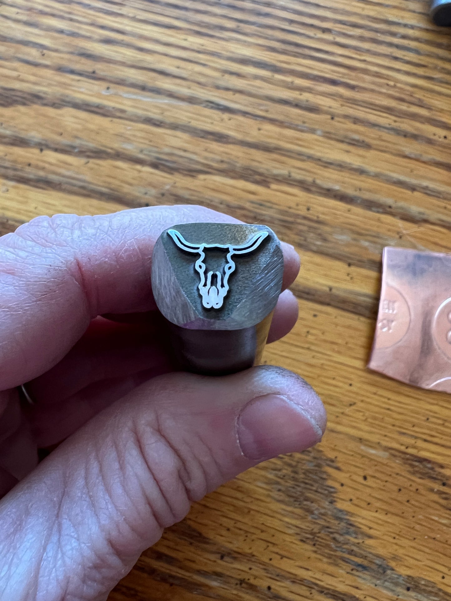 Cow skull stamp