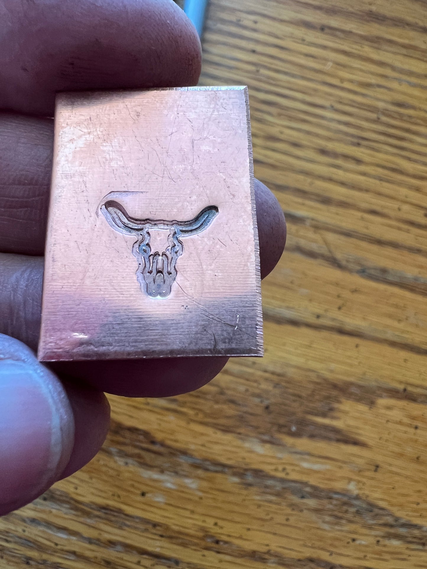 Cow skull stamp